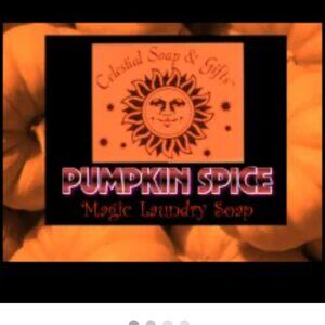 Pumpkin Spice VEGAN Laundry Soap Powder Bag - 40-80 LOADS Gross Wt. 44 oz. NEW